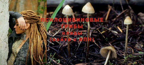 хмурый Медвежьегорск