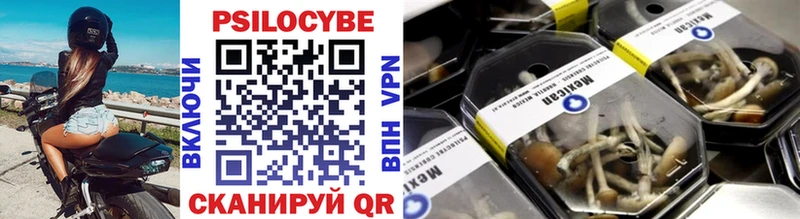 Псилоцибиновые грибы прущие грибы  Городище 